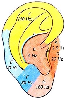 Nogier Ear Chart